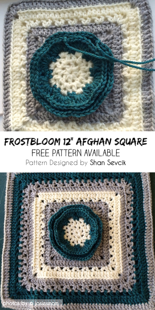 Frostbloom 12 Afghan Square Idea